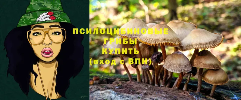 Галлюциногенные грибы Cubensis  Константиновск 